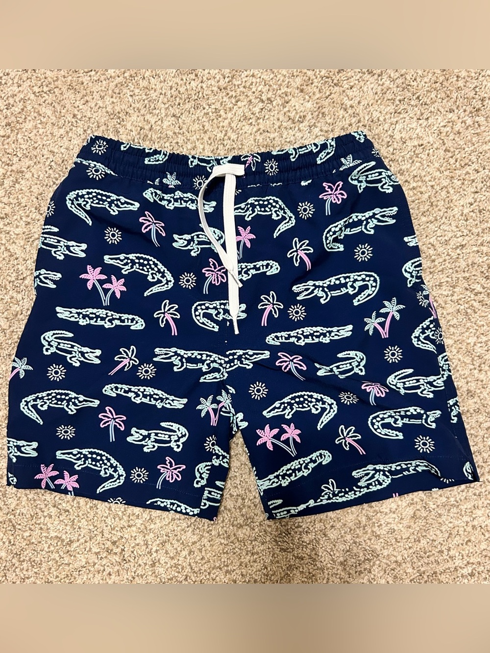 Boys Chubbies Swim Trunks